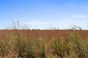 Photo 34- click for photo gallery